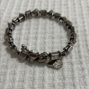 Alex and Ani Silver Chunky Bracelet